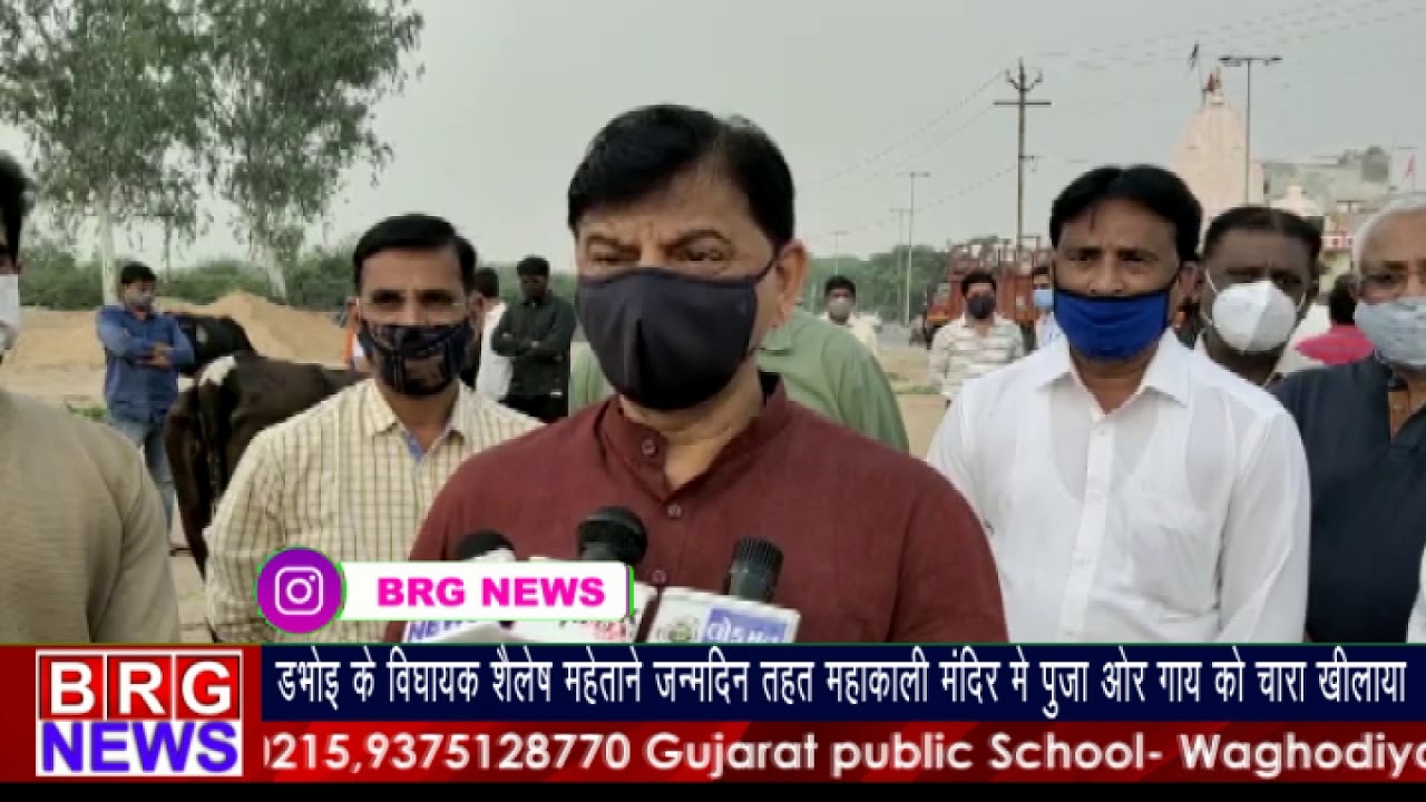 dabhoiके विधायक Shailesh mehtaने जन्मदिन के तहत mahakali mandirमें pooja और cow को चारा खिलाया