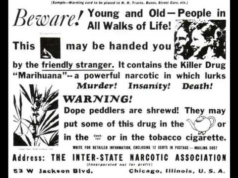 Aphid Moon & The Electric Ant - Vicious Cycle