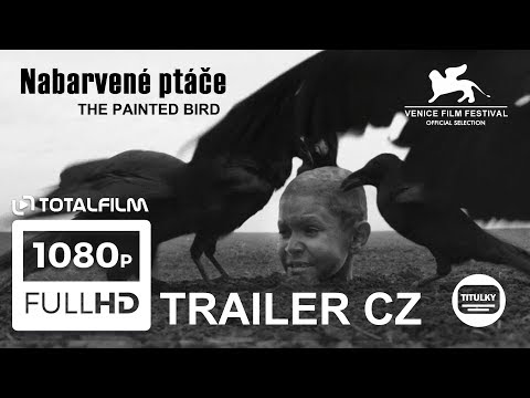 download lagu mp3 mp4 Nabarvene Ptace Online, download lagu Nabarvene Ptace Online gratis, unduh video klip Nabarvene Ptace Online