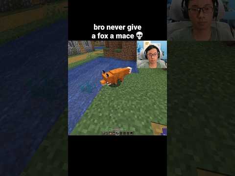 Minecraft Fox Moment