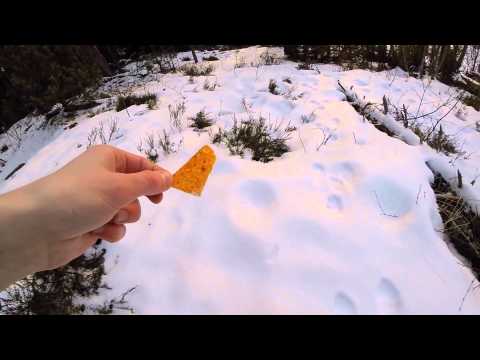Picking up doritos chip from the ground and eating it