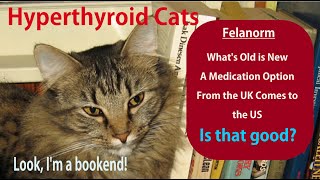 New Hyperthyroid Cat Medicine in the US: Felanorm