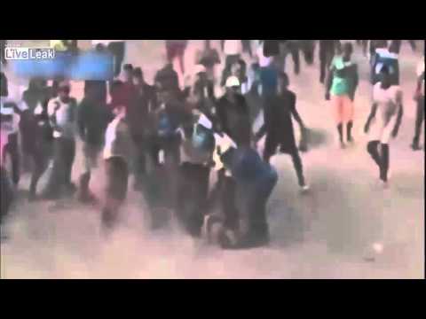 กระทิงไล่ขวิดคน