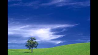 Alfred Sim, 沈志豪 唐山到南洋 家乡 (Nicholas Lee Cover)