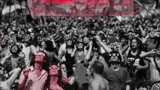 Animal Collective; Did You See the Words