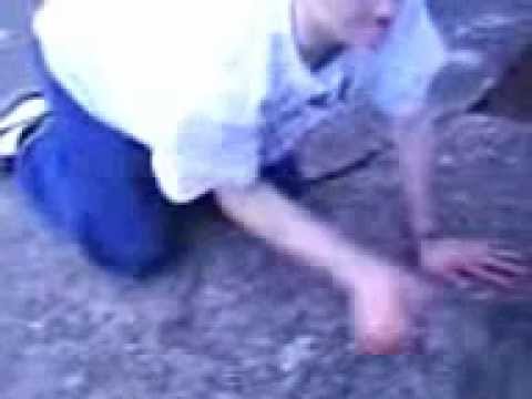 Mattihas der Kuhjunge