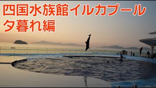【まったり動画】四国水族館のイルカプールを眺めるだけ(夕暮れ編)