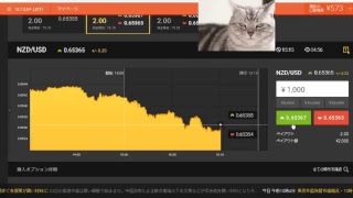【FX】2万円負けたのでデモで練習して取り返す【BO】
