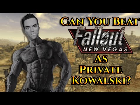 Can You Beat Fallout: New Vegas AS Private Kowalski?