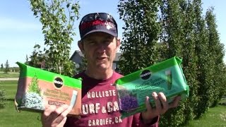 How to install Miracle Grow tree fertilizer spikes (I did 240 in 8 Hours)