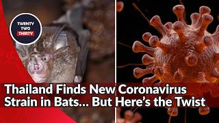 New Coronavirus Strain Found in Thailand Bats Raises Questions About Future Virus Risks