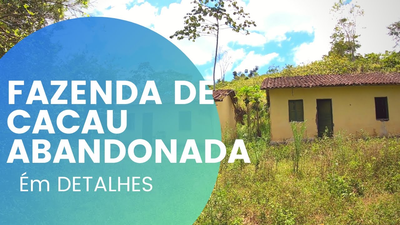 FAZENDA DE CACAU NO SUL DA BAHIA - ABANDONADA E A VENDA! Veja os detalhes!!!