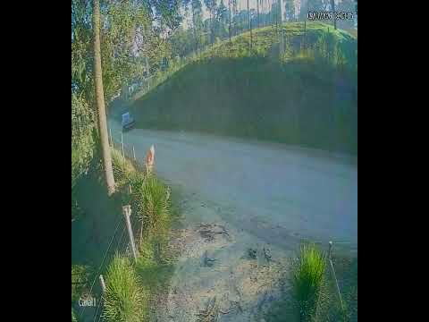 Homem mostra genital no meio da rua, em Almirante Tamandaré