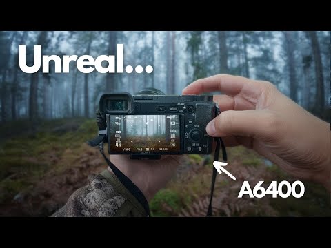 POV Naturfotografie – Stille und Nebel im Wald