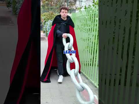 Don't Let Go Of Your Dog's Leash.....😭🤣🤣 #shorts