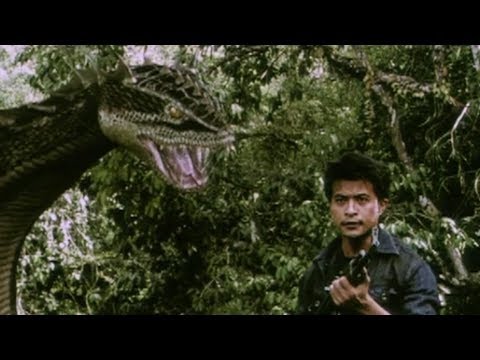 download lagu mp3 mp4 Hollywood Adventure Movie Hindi, download lagu Hollywood Adventure Movie Hindi gratis, unduh video klip Hollywood Adventure Movie Hindi