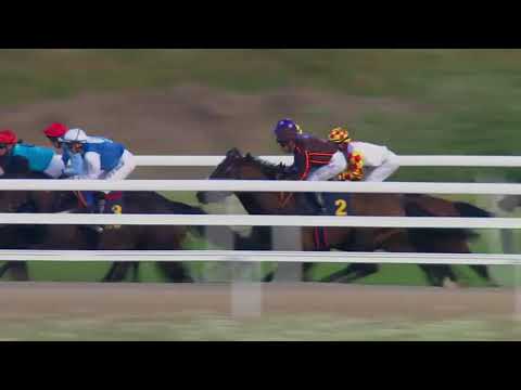 2018.06.18 Svenskt 1000 Guineas (formerly Dianalöpning) - Queen Estoril