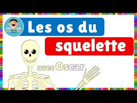 Vidéo 5