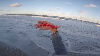 I GET BIT BY THE WORST THING YOU CAN CATCH SURF FISHING!!