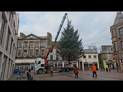 Hugh Simpson Contractors Ltd Delivering Wicks Christmas tree 🎄 25/11/25 