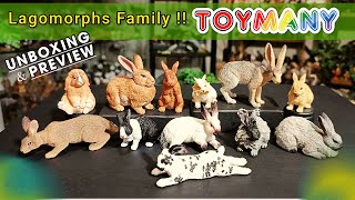 The Best Rabbit Figures Toymany's New release !!!!😍