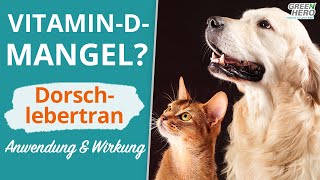 Vitamin D Mangel? ☀️  Dorschlebertran-Öl und seine Vorteile