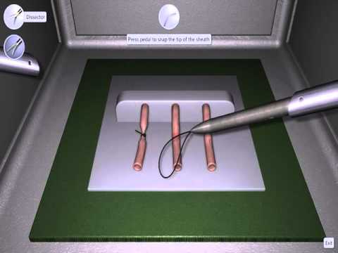 LapSim Task Training: Ligating Loop