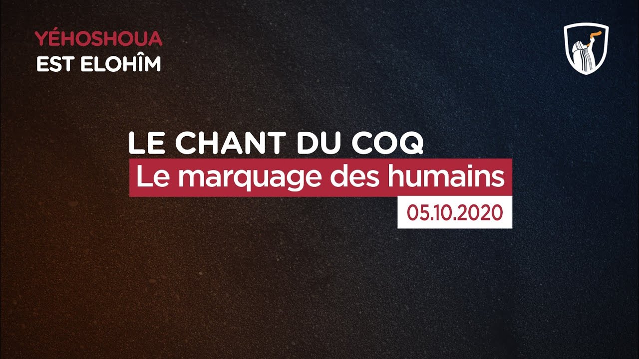Thumbnail of video: Le marquage des humains