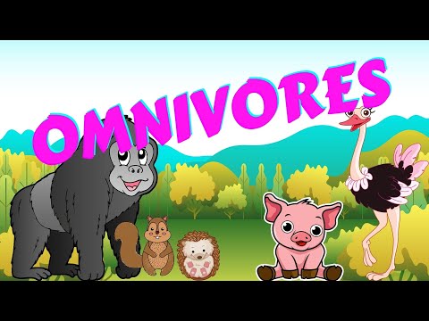 meaning-of-omnivorous-animals Mp4 3GP Video & Mp3 Download unlimited Videos Download meaning-of-omnivorous-animals Mp4 3GP Video & Mp3 Download unlimited Videos Download