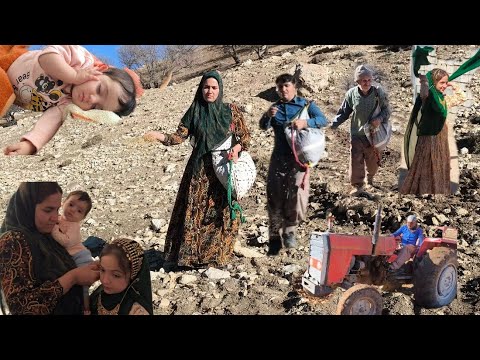 Bread of the Year in Rahima's Hands; A Nomadic Family's Story of Cultivating Agricultural Land🚜🚜