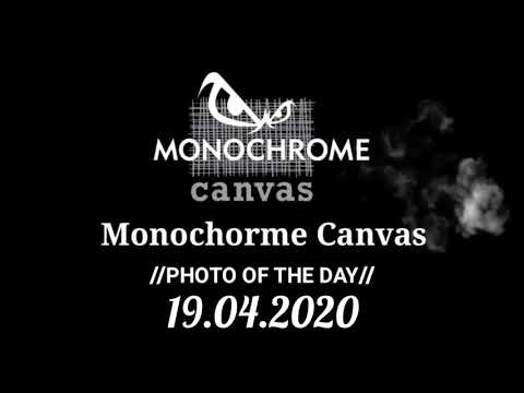 𝐏𝐇𝐎𝐓𝐎 𝐎𝐅 𝐓𝐇𝐄 𝐃𝐀𝐘 19.04.2020 Monochorme Canvas