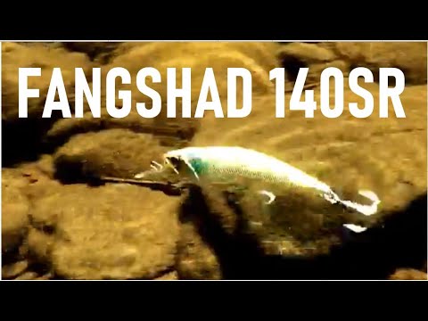 Lure Masterclass: The Realis FANGSHAD 140SR `How to use it`