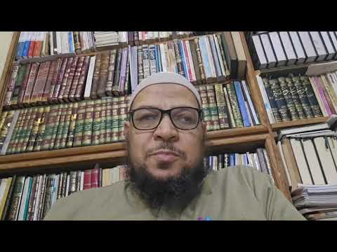 تناقض ابن شمس حول بلاد الشام
