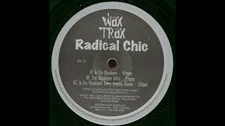 Radical Chic - The Shadows Wild [WAX 04]
