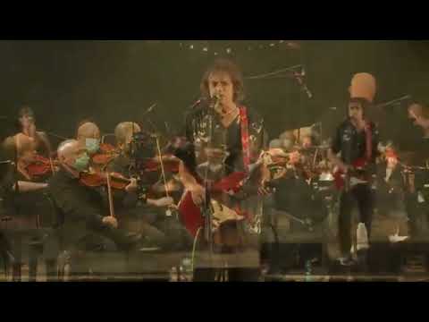 THE SIXTIES - I'M SORRY (Eu sinto muito)