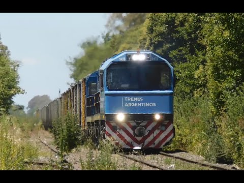 Tren de TAC SAN MARTÍN pasando por La Oriental, Buenos Aires. Octubre 2025.
