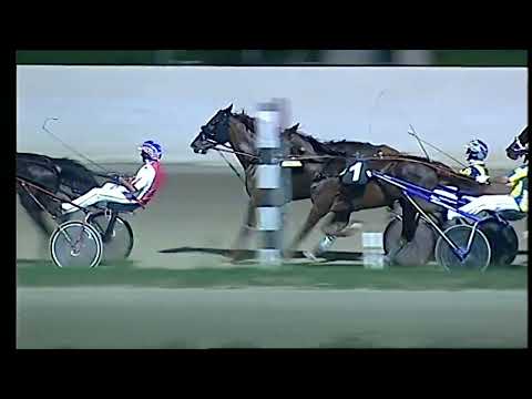 Napoli Trotto 27/08/2022 - 8ª corsa