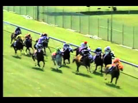 Pimlico 05/17/13 Race 5