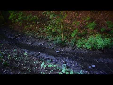 Coșteiu de Sus. Valea Popii .