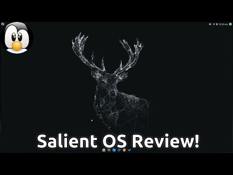 Taking A Look At Salient OS - Arch For Gamers and Creators!