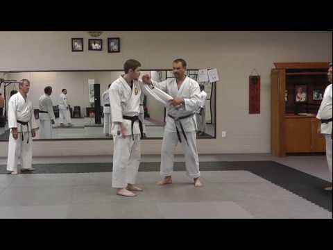 Pinan Godan Bunkai with Ryan Parker at the 2015 RMA Friendship Gasshuku