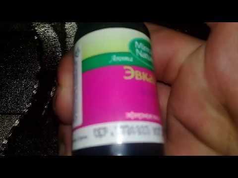 ISTI AYLARDA TOYUQLARA ЭВКАЛИПТ YAGI  VERIN