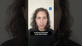 Liban : Frappes israéliennes dans le sud du pays
