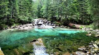 Moonlight Sonata 4k - Beethoven - Classical Music for relaxation and studying.