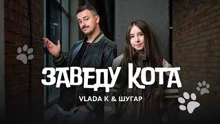 ЗАВЕДУ КОТА (ZAVEDU KOTA) Lyrics English Translation