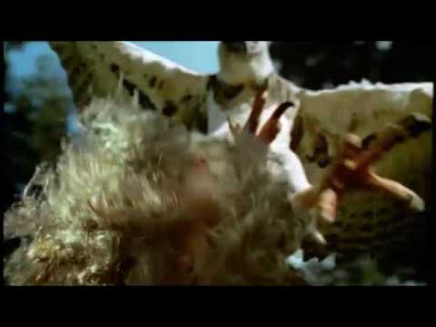 Monsters We Met - Haast's Eagle