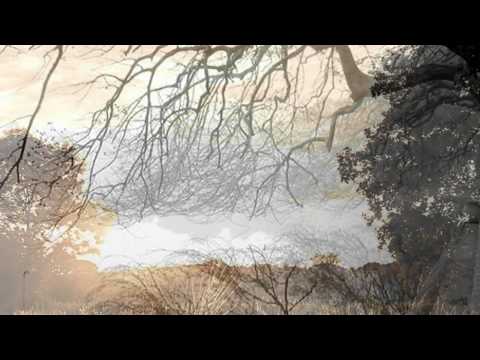 Nghe Sheet - Hoàng Nhật Minh