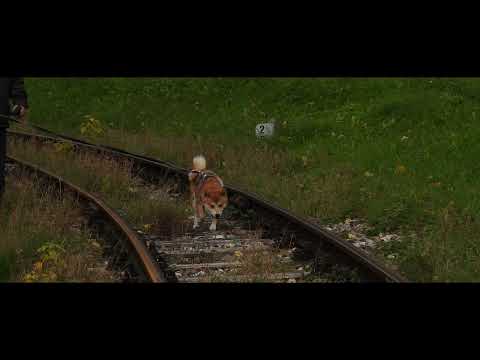 Im Härtsfeld von der Stein- zur Sägmühle