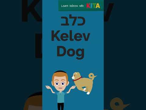 Learn Hebrew Pets in Seconds! לומדים חיות מחמד יחד
