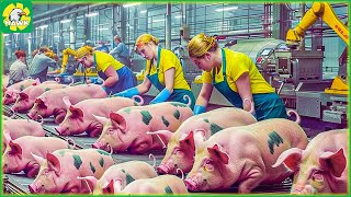 🐖 Pig Farm - How Farmers Transport and Process Ham From Millions of Pigs | Processing Factory